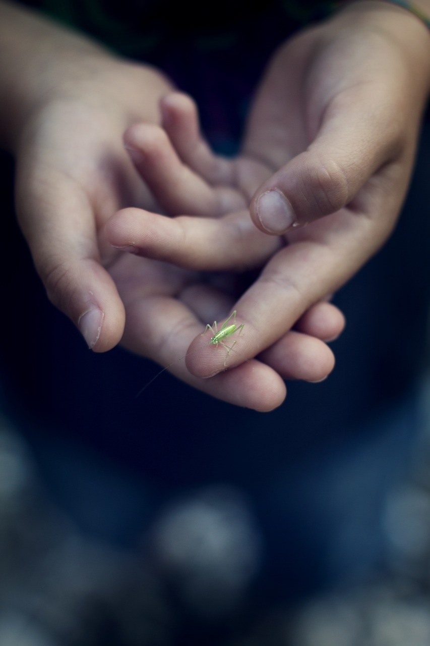 试管代生的孩子肚里有虫的症状（试管代生的孩子肚里有虫的症状是什么）