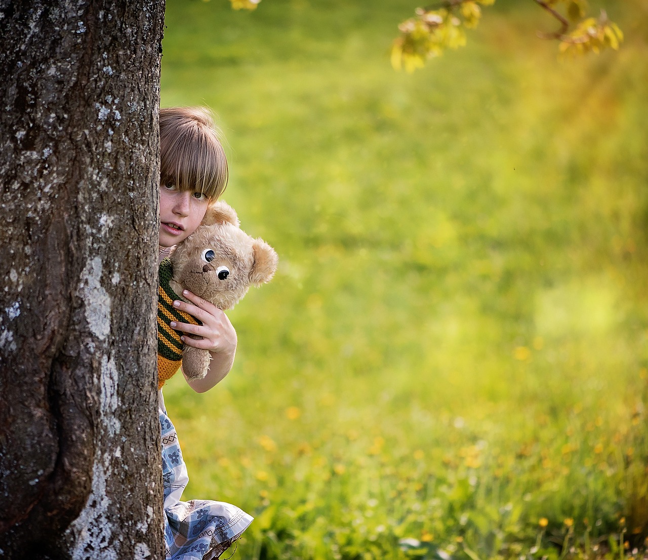 幼儿园总是最后一个的试管代生的孩子（幼儿园试管代生的孩子总在最后一排）